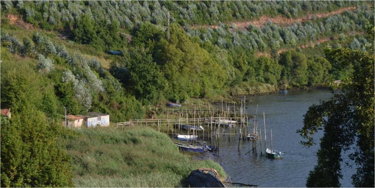 La Quintana Del Castillo Soto del Barco Kültér fotó